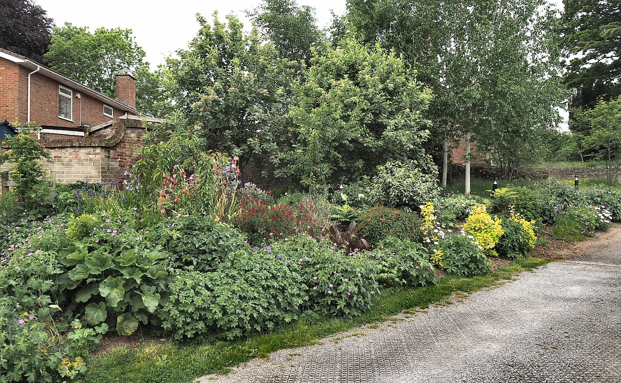 Garden scene — May 2023
